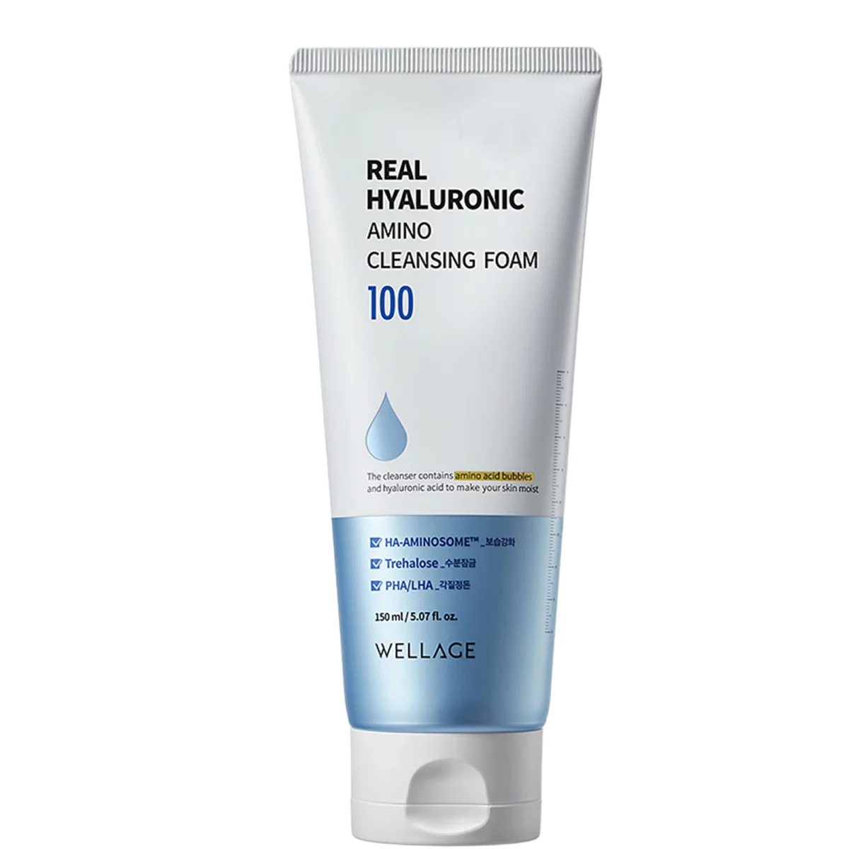 Real Hyaluronic Amino Cleansing Foam