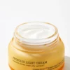 Full Fit Propolis Light Cream