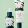 Pine Calming Cica Ampoule