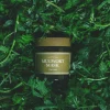 Mugwort Mask
