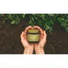 Mugwort Mask